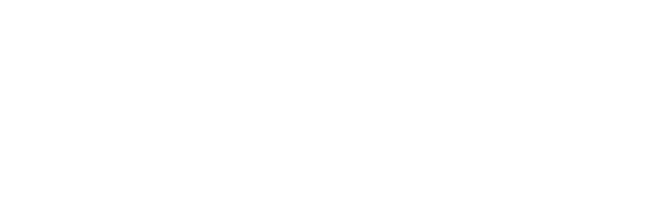 The Movement Dance Experience